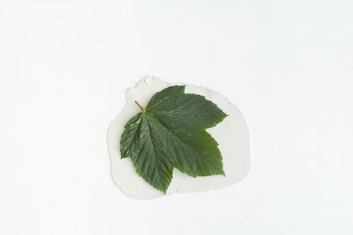идеи декоративна чинийка листо от глина 